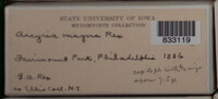 Image Associated With the Occurence